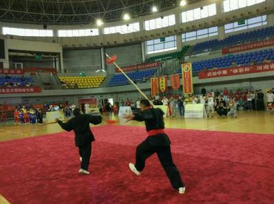 武動(dòng)中原“體彩杯”河南省首屆傳統(tǒng)武術(shù)大賽在長(zhǎng)垣開(kāi)賽_新浪城市_新浪網(wǎng)