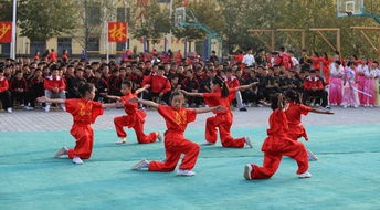 少林寺武術(shù)學(xué)校學(xué)生畢業(yè)后能做什么