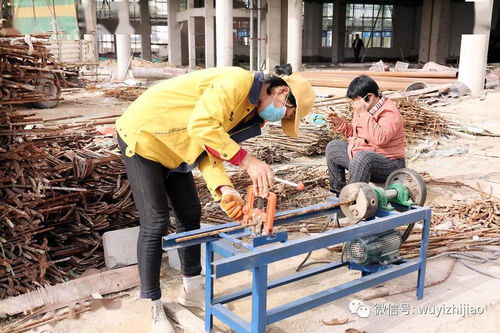 我校新校區(qū)初綻英姿