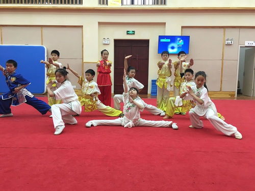 學(xué)校開(kāi)了武術(shù)課,小學(xué)生長(zhǎng)高了力氣變大了,還說(shuō)做事有干勁了