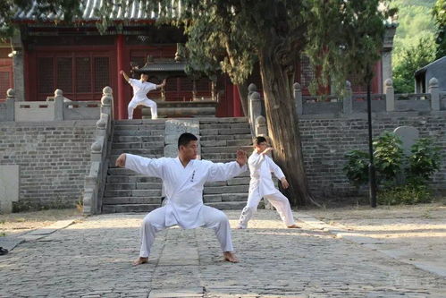 濟(jì)南假期武術(shù)培訓(xùn)