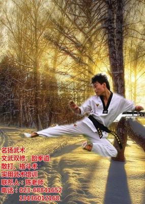 武術(shù)教學(xué)_重慶名揚(yáng)武校_武術(shù)教學(xué)圖片