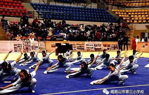 全國先進武術(shù)之鄉(xiāng)的中小學(xué)和幼兒園624名武術(shù)選手亮功夫