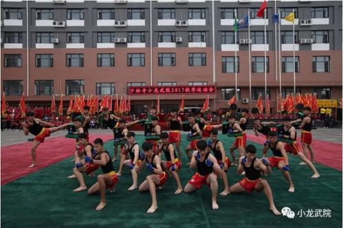 河南少林寺小龍武校 習(xí)武的目的就是防身健體