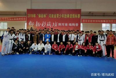 2018年河南省跆拳道錦標賽閉幕,塔溝功夫小子喜獲13枚金牌!