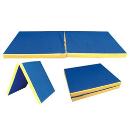 信陽摔跤墊子、名圖公司、武校*摔跤墊子生產(chǎn)廠家