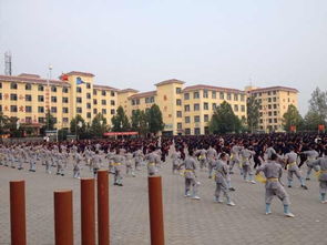 少林寺武術(shù)學(xué)校 新生來(lái)校怎么坐車詳細(xì)路線