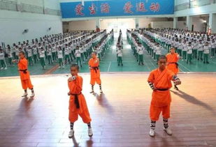 清遠(yuǎn)市武術(shù)協(xié)會(huì) 傳承武術(shù)文化,讓武術(shù)走進(jìn)校園,實(shí)現(xiàn)武術(shù)校園化