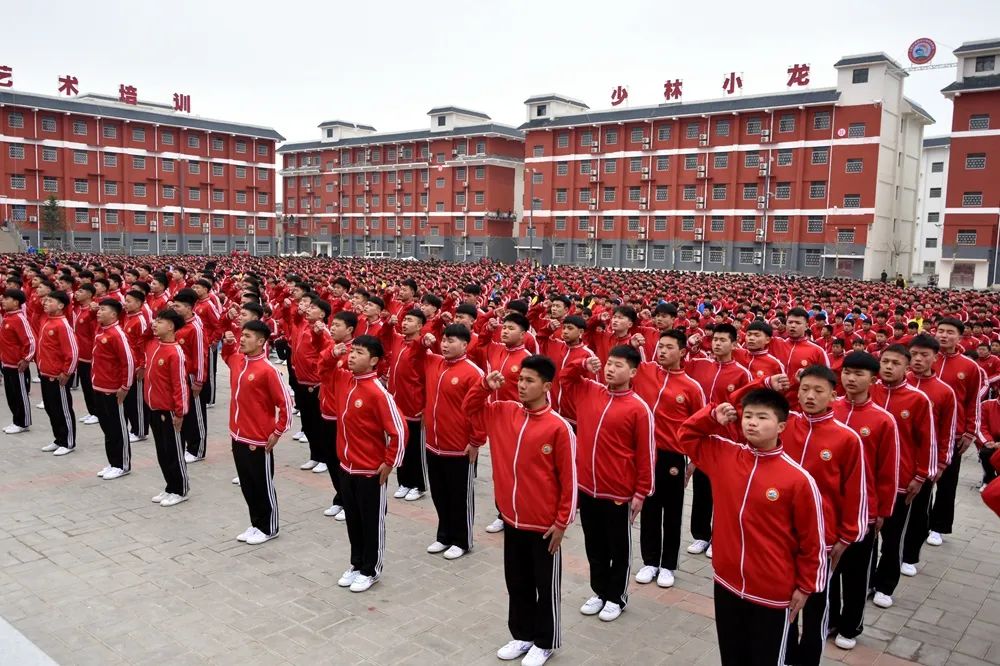 河南嵩山少林小龍武術(shù)學(xué)校一年多少學(xué)費(fèi)