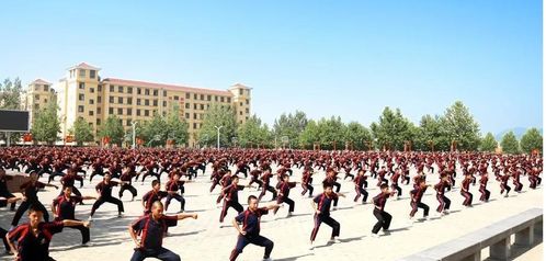 少林延魯武術學校報名有什么要求嗎