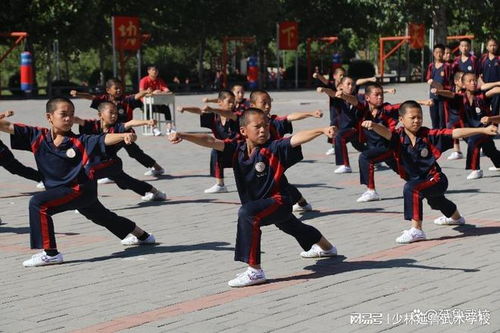 延魯武校 武術(shù)教育讓孩子受益無窮