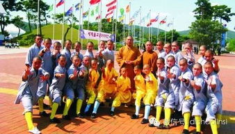 少林寺武校使武術(shù)之花綻放世界