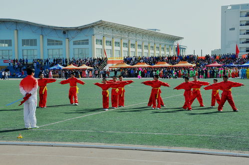 榆林學(xué)院第十一屆田徑運(yùn)動會掠影