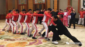 貴州東山武術(shù)學(xué)校 專業(yè)文化武術(shù)培訓(xùn) 還你一個 武俠 夢