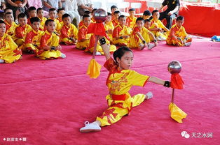 十年光陰譜寫 歲月如歌 見證天水公園武校發(fā)展歷程