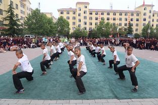 到少林寺武校習(xí)武能提高孩子哪些能力呢