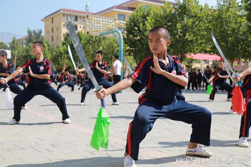武術(shù)對于學(xué)生,有著多方面的意義