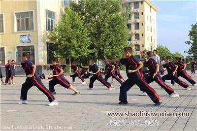 【青少年到少林寺武校學(xué)武什么時候最好?】價格,廠家,其他教育培訓(xùn)-搜了網(wǎng)