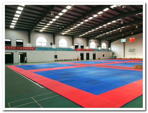 少林寺武校學(xué)費標(biāo)準(zhǔn)今年一年得多少 含吃住