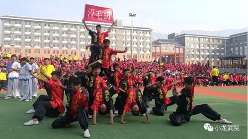少林寺武校 讓孩子在武術(shù)學(xué)校有所學(xué),有所悟,有所得