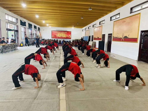 河南登封棋盤山武術(shù)學(xué)院 少林武術(shù)學(xué)校有著怎樣的特色