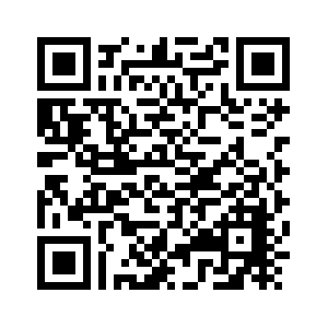 研學(xué)教育新范式:少室山武術(shù)學(xué)校以"三館聯(lián)動(dòng)"激活傳統(tǒng)文化育人動(dòng)能