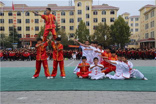 嵩山少林寺武校為學(xué)員的就業(yè)之路錦上添花