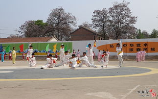 河南省武術(shù)特色學(xué)校驗(yàn)收專家組驗(yàn)收溫縣祥云鎮(zhèn)小學(xué) 趙堡鎮(zhèn)小學(xué)