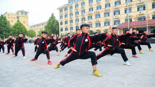 延魯武校 學(xué)習(xí)武術(shù)帶來的好處 網(wǎng)易訂閱