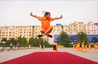 孩子在少林寺武術(shù)學(xué)校剛開(kāi)始都學(xué)些什么功夫呢