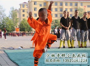 少林寺武術(shù)學(xué)校：專業(yè)的醫(yī)療團隊護(hù)航學(xué)員健康成長