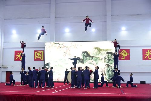 他們?yōu)楹巍俺鋈Α薄珖?0余家主流融媒體記者實探鄭州少林塔溝教育集團武術(shù)學(xué)校