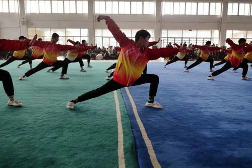 宋江武校2022年冬季運動會賽場精彩瞬間