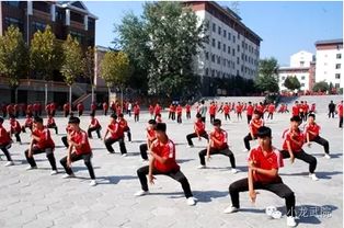 嵩山少林寺武術(shù)學(xué)校 支持隨到隨學(xué)，開啟武術(shù)學(xué)習(xí)新篇章