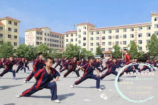 少林寺公辦武術(shù)學(xué)校招生時間及入學(xué)指南