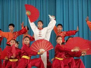 萊州中華武校學(xué)生表演 武術(shù)的魅力與風(fēng)采