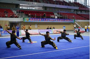 第十九屆全國(guó)武術(shù)學(xué)校套路比賽圓滿(mǎn)落幕，金銀銅牌花落各家