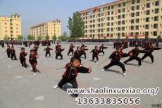 武術(shù)學(xué)校——傳承中華武道，塑造卓越品格