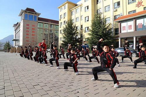 練武術(shù)且能吃苦的孩子更能成大器——小龍武校的育人理念