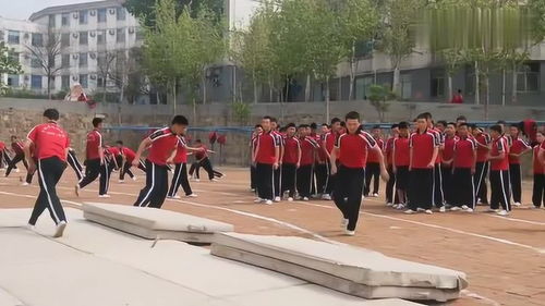 武校生活實(shí)拍 每日武術(shù)訓(xùn)練鑄就卓越體質(zhì)