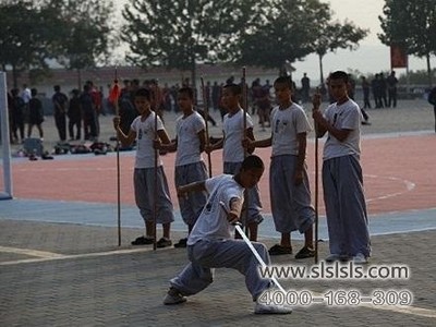 河南嵩山少林寺武校的獨(dú)特優(yōu)勢(shì)與價(jià)值分析