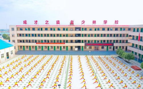 合肥北少林學(xué)校丨全力保障武術(shù)套路散打隊，中心送來感謝信