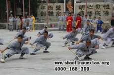 傳承與創(chuàng)新 武術(shù)學(xué)校的魅力展示