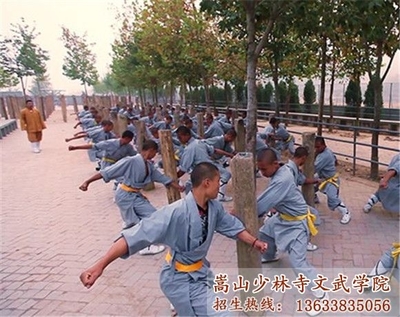 武術(shù)學(xué)校 傳承中華文化，強健體魄的文體藝術(shù)培訓(xùn)平臺
